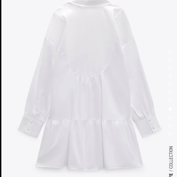 Zara Voluminous Poplin Dress - Picture 7 of 14